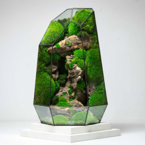 Alternative view of Terrarium The Prism– A source of peaceful energy from nature - SAVE 53% ONLY TODAY!