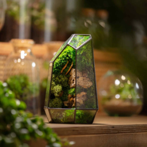 Terrarium The Prism– A source of peaceful energy from nature - SAVE 53% ONLY TODAY!